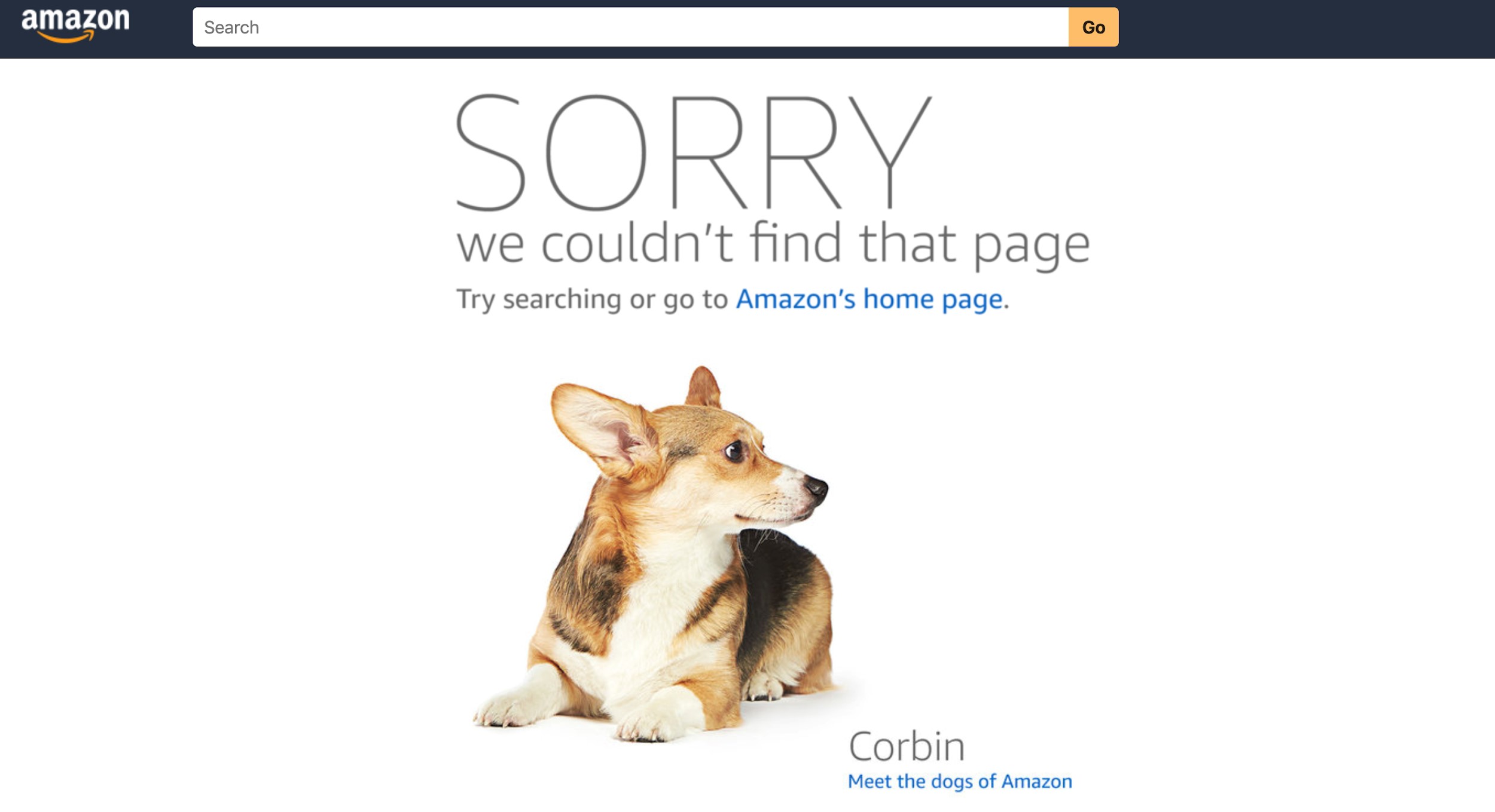 Amazon Page Error